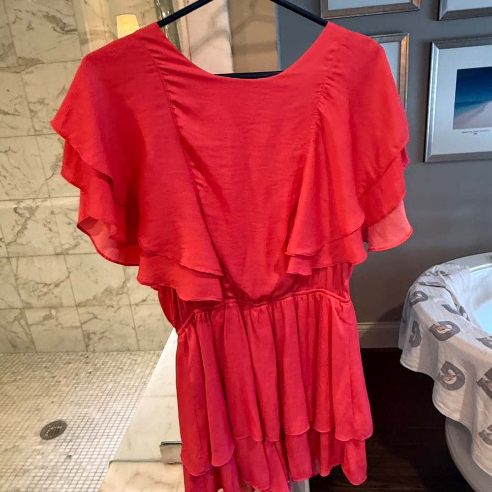 Impeccable Pig Mini Dress - image 1